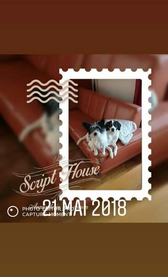 Au Gre Des Sentiers Chez Marie Et Pierre Bed & Breakfast Saint-Die-des-Vosges Exterior photo